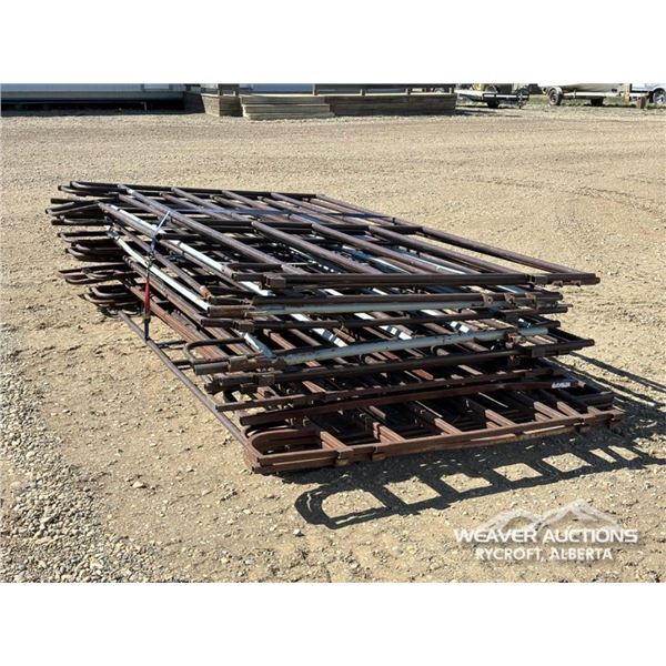(19) VARIOUS SIZED LIVESTOCK PANELS