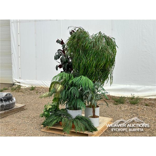 ARTIFICIAL HOUSE PLANTS