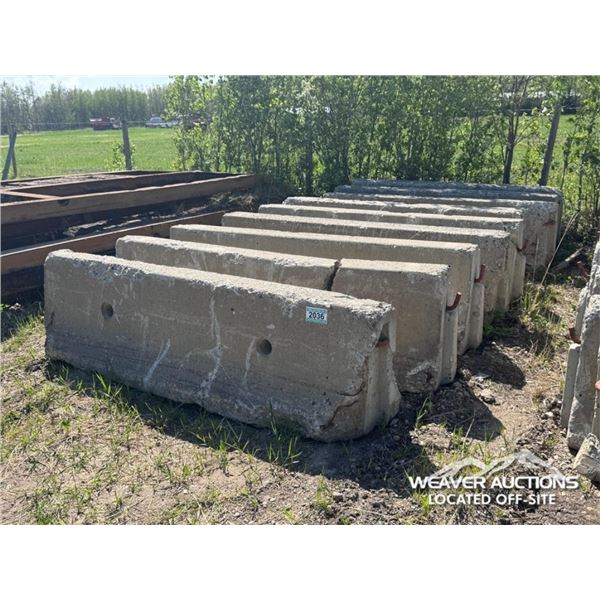 (10) CEMENT BLOCKS