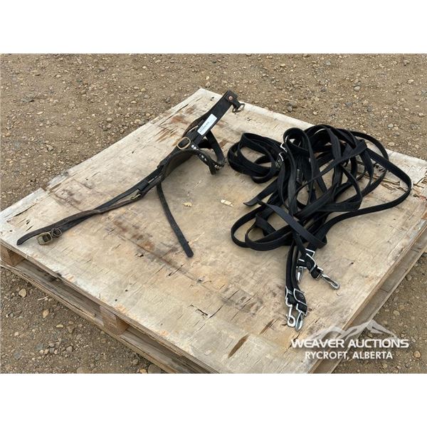 NYLON DRIVING LINES FOR BIG TEAM