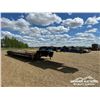 Image 2 : 2015 CROSS COUNTRY TRIDEM LOWBOY TRAILER