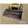 Image 29 : 2006 CATERPILLAR 246B 2-SPEED SKID STEER LOADER