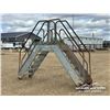 Image 3 : ALUMINUM WALK OVER STAIRS