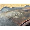Image 5 : (4) GOODYEAR 23.1-30 TRACTOR TIRES & RIMS