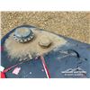 Image 6 : 630L FUEL TANK W/ GPI PUMP & NOZZLE
