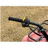 Image 8 : SUZUKI 300 QUAD RUNNER