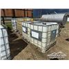 Image 2 : (5) PLASTIC TOTES