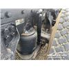 Image 62 : 2019 PETERBILT 367 TRI DRIVE SLEEPER LOG TRUCK