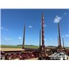 Image 19 : 2007 DOEPKER B-TRAIN LOG TRAILERS