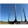 Image 11 : 2007 DOEPKER 50 FT. TRIDEM LOG TRAILER