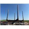 Image 21 : 2007 DOEPKER 50 FT. TRIDEM LOG TRAILER
