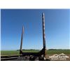 Image 23 : 2007 DOEPKER 50 FT. TRIDEM LOG TRAILER