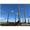 Image 13 : 2008 DOEPKER 50 FT. TRIDEM LOG TRAILER