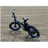 Image 4 : ECO-TRIC ELECTRIC BICYCLE