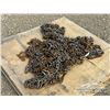 Image 2 : SET OF 11-22.5 TRIGG TRUCK TIRE CHAINS