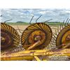 Image 10 : DIKA 5 WHEEL ROOT RAKE