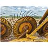 Image 11 : DIKA 5 WHEEL ROOT RAKE