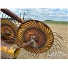 Image 13 : DIKA 5 WHEEL ROOT RAKE