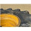Image 5 : (1) FIRESTONE 35.5LB32 FORESTRY SPECIAL TIRE W/RIM