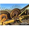 Image 11 : DIKA 7 WHEEL ROOT RAKE