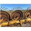 Image 14 : DIKA 7 WHEEL ROOT RAKE