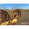 Image 15 : DIKA 7 WHEEL ROOT RAKE