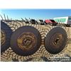 Image 22 : DIKA 7 WHEEL ROOT RAKE