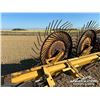 Image 9 : DIKA 7 WHEEL ROOT RAKE