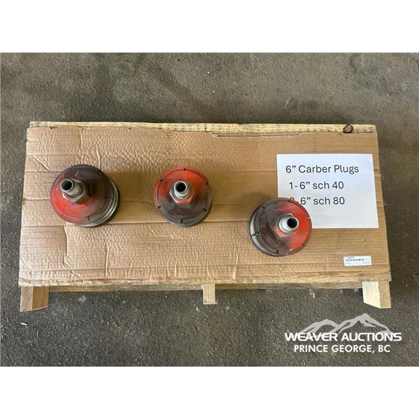 6 IN. CARBER PLUGS