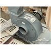 Image 18 : (2) TABLE SAWS W/DUST COLLECTOR