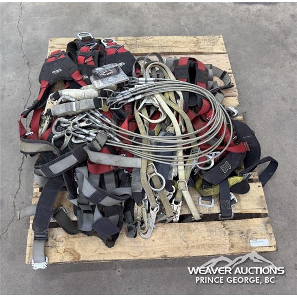 (10) HARNESSES & LANYARDS