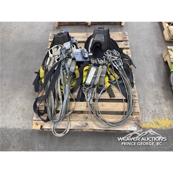 (10) HARNESSES & LANYARDS