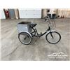 Image 1 : ADULT TRICYCLE