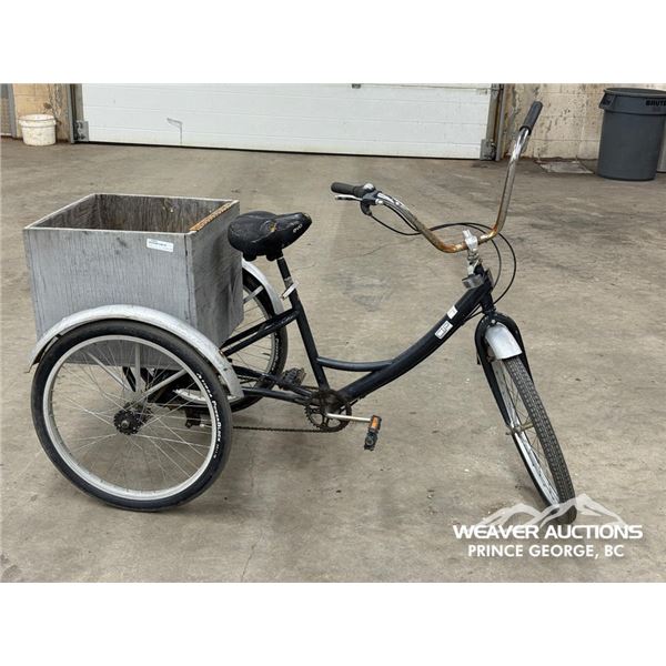 ADULT TRICYCLE