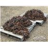 Image 3 : (4) SKIDDER 30.5/32 TIRE CHAINS