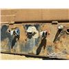Image 7 : 2010 LORNES TRIDEM LOG TRAILER