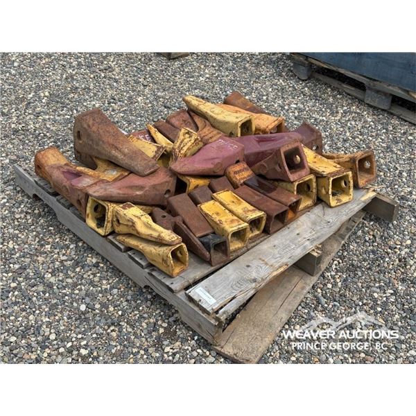 ASSORTED EXCAVATOR BUCKET TEETH
