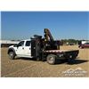 Image 4 : 2015 FORD F550 XL CREW CAB BOOM TRUCK