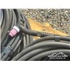 Image 2 : TIG HOSE & STINGER