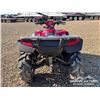 Image 21 : 2006 HONDA RINCON ATV