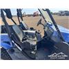 Image 16 : 2009 YAMAHA RHINO SIDE BY SIDE