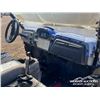 Image 18 : 2009 YAMAHA RHINO SIDE BY SIDE