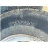 Image 12 : 2006 RAINBOW XPRESS 10 FT. S/A UTILITY TRAILER