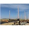 Image 13 : 2000 PEERLESS TRIDEM LOG TRAILER