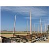 Image 14 : 2000 PEERLESS TRIDEM LOG TRAILER