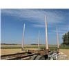 Image 16 : 2000 PEERLESS TRIDEM LOG TRAILER