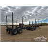 Image 5 : 2016 DOEPKER B-TRAIN LOG TRAILERS