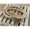 Image 1 : HEAVY DUTY BRAIDED SLING