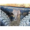 Image 52 : 2021 WESTERN STAR 4900SB T/A DUMP TRUCK