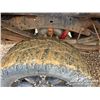 Image 36 : 2013 FORD F350 LARIAT CREW CAB PICKUP